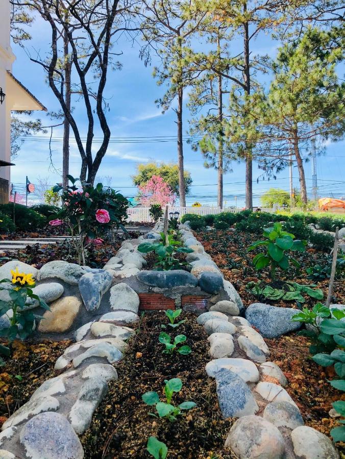 Bach Tra Villa Dalat Exteriör bild